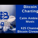 Bitcoin Charting – Calm Ambient Music – Channel  $25 Bitcoin Giveaway